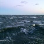 224. Love of Ocean